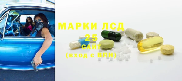 индика Балабаново