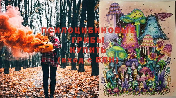 СК Аркадак
