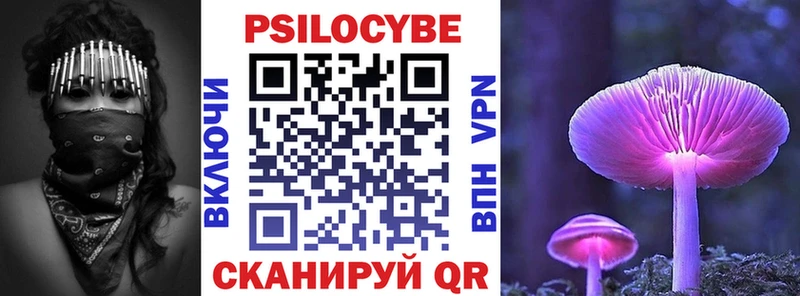 hydra ТОР  Ржев  Псилоцибиновые грибы GOLDEN TEACHER 
